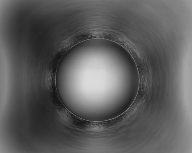 X0000087710702200705111421