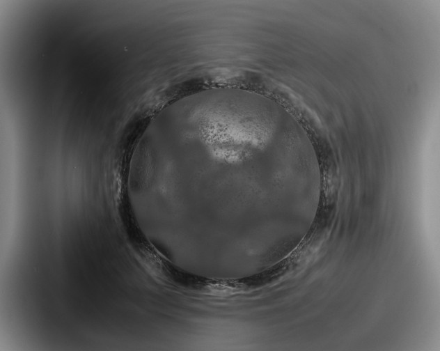 X0000087710703200705111421