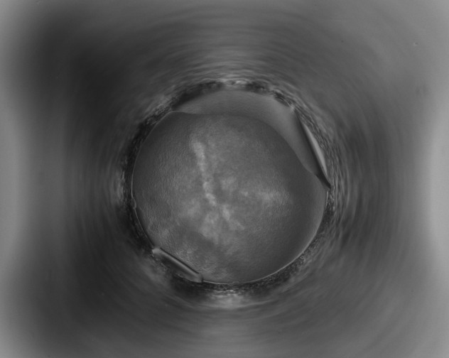 X0000087710704200705111421