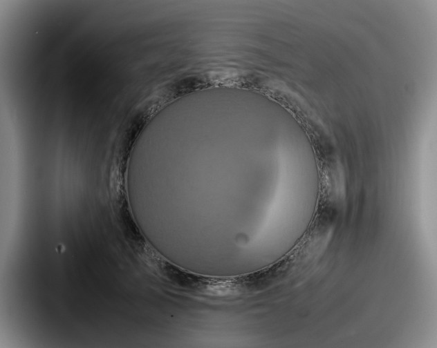 X0000087710705200705111421