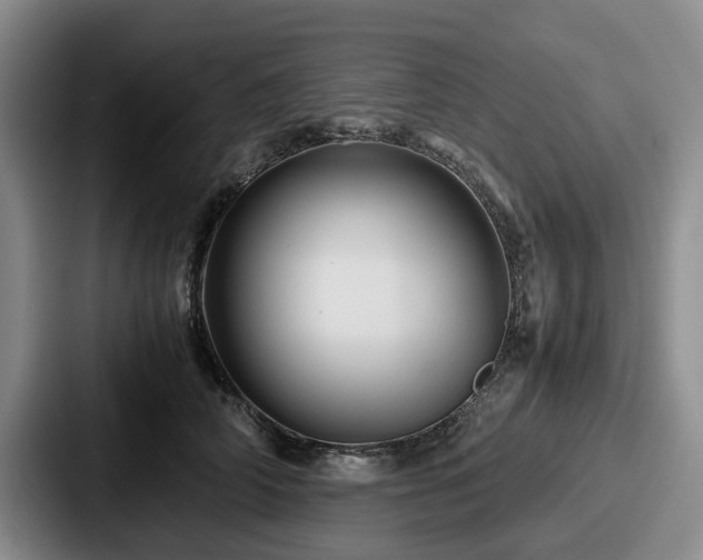 X0000087710706200705111421