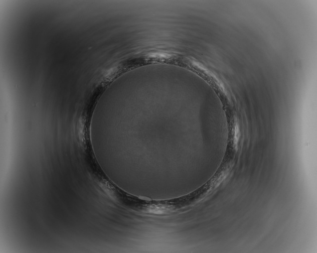 X0000087710708200705111421
