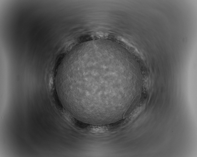 X0000087710709200705111421