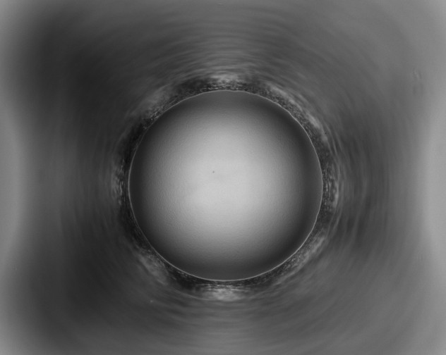 X0000087710710200705111421