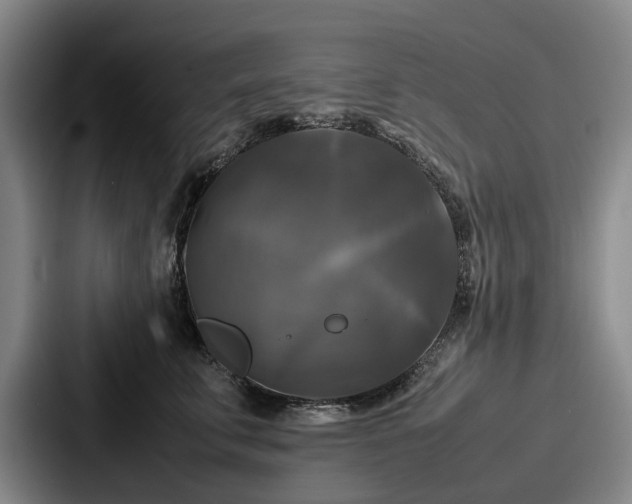 X0000087710711200705111421