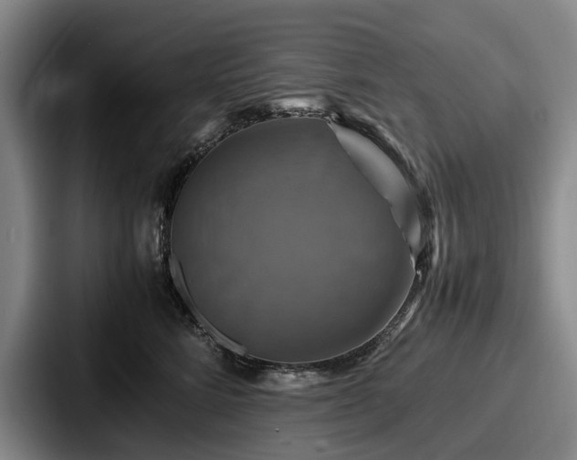 X0000087710712200705111421