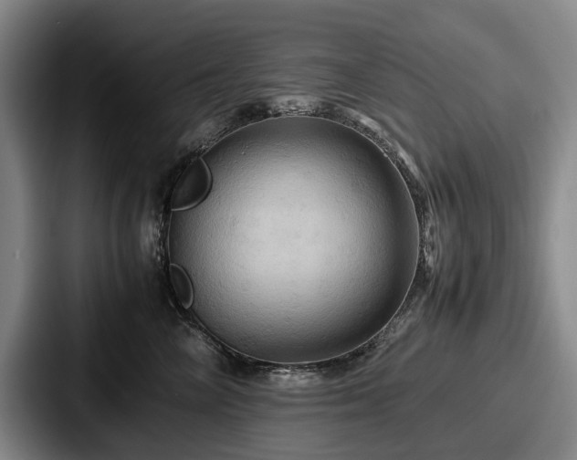 X0000087710714200705111421