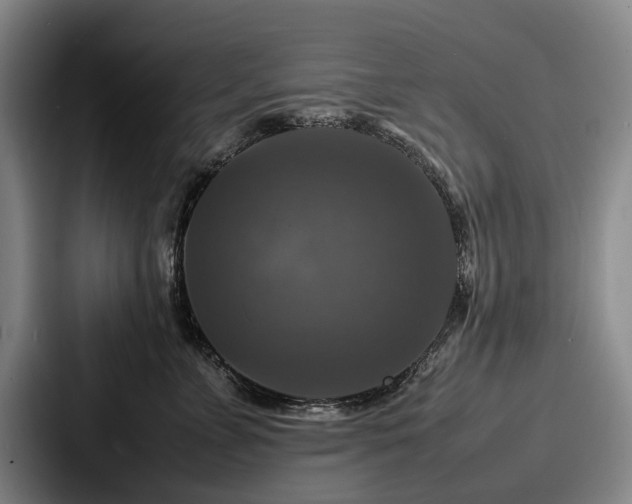 X0000087710715200705111421