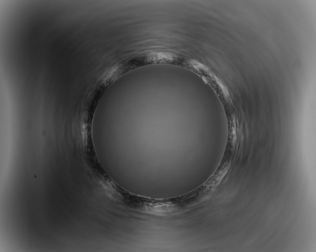 X0000087710716200705111421