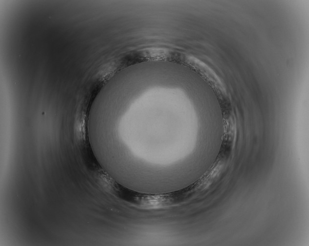 X0000087710717200705111421