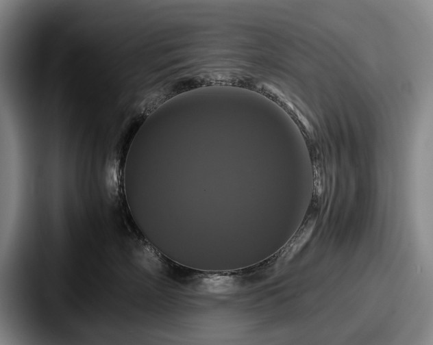 X0000087710718200705111421