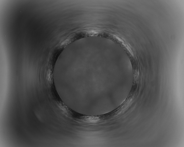 X0000087710719200705111421