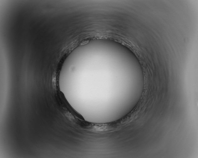 X0000087710720200705111421