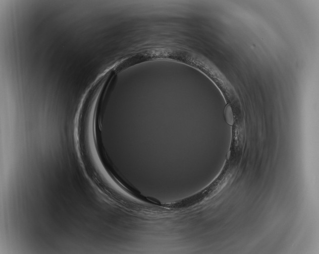 X0000087710722200705111420