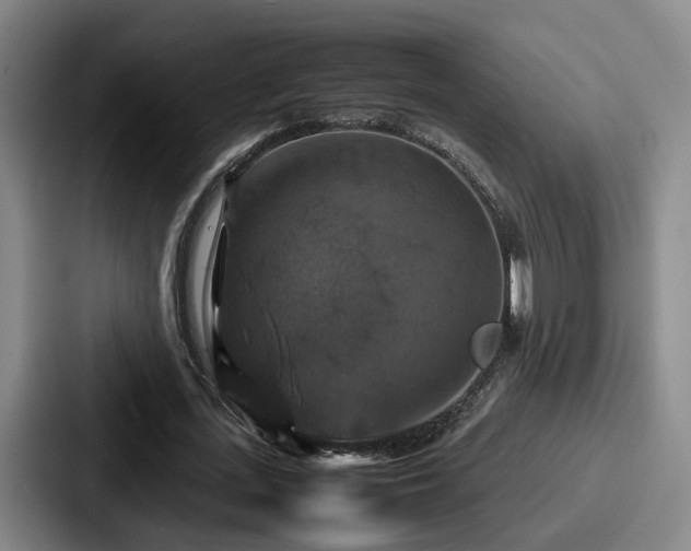 X0000087710723200705111420
