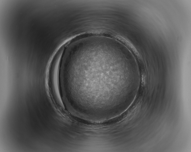 X0000087710724200705111420