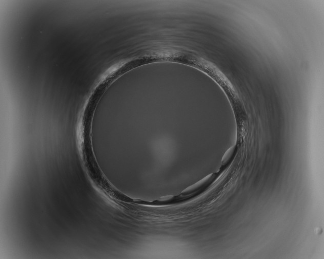 X0000087710726200705111420