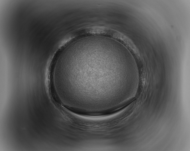 X0000087710727200705111420