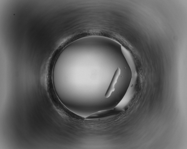 X0000087710728200705111420