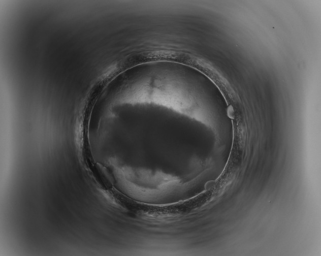 X0000087710729200705111420