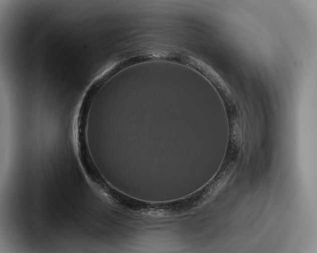 X0000087710730200705111420
