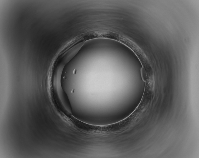 X0000087710732200705111420