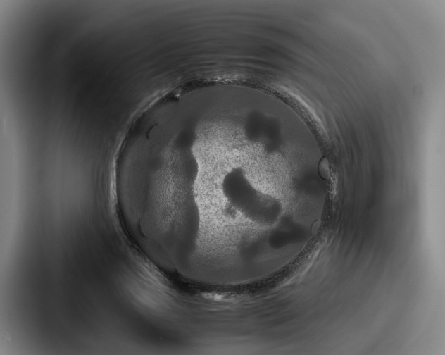 X0000087710733200705111420