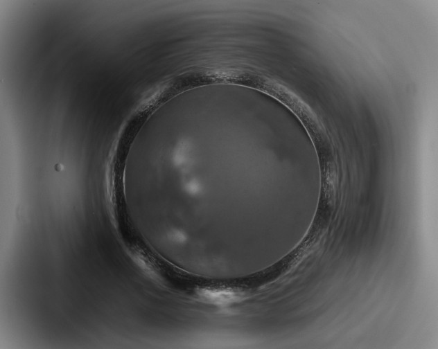 X0000087710734200705111421