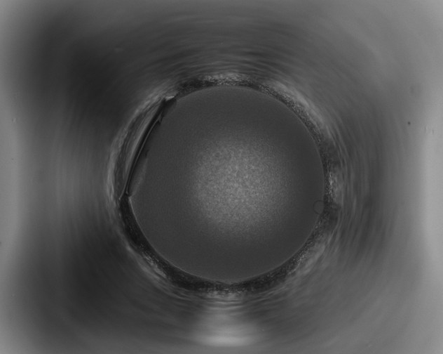 X0000087710735200705111421