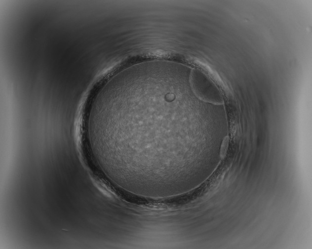 X0000087710736200705111421