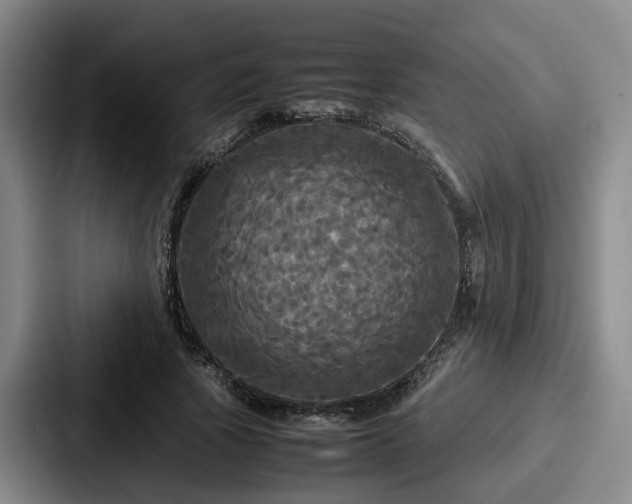 X0000087710737200705111421
