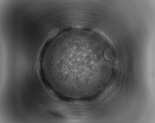 X0000087710738200705111421