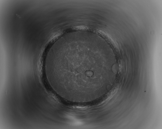 X0000087710739200705111421