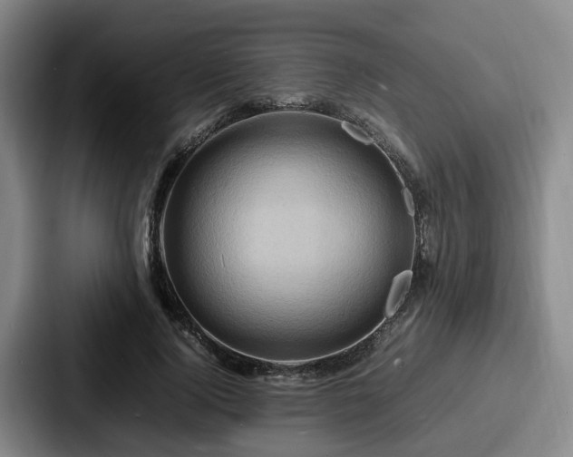 X0000087710740200705111421