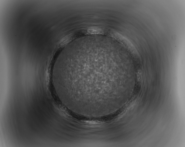 X0000087710741200705111421