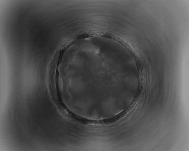 X0000087710742200705111421