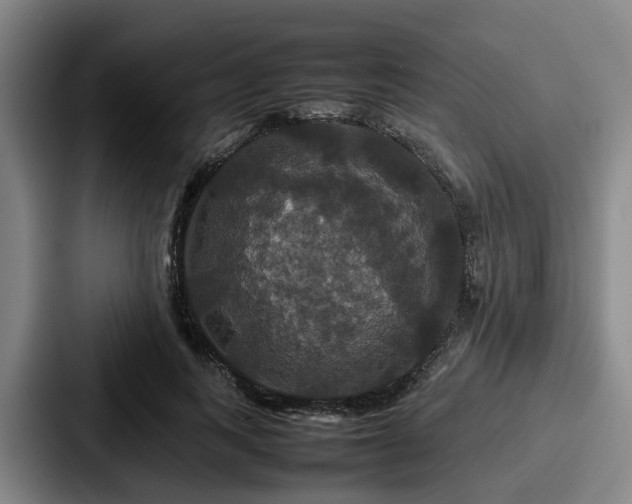 X0000087710743200705111421