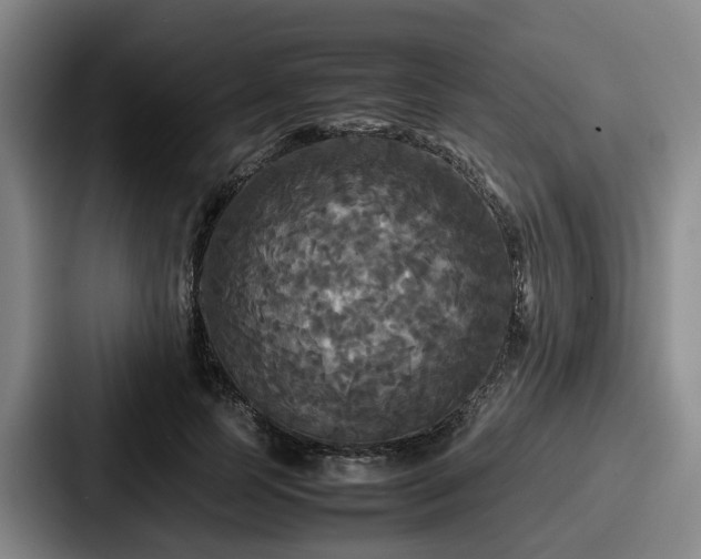 X0000087710745200705111421