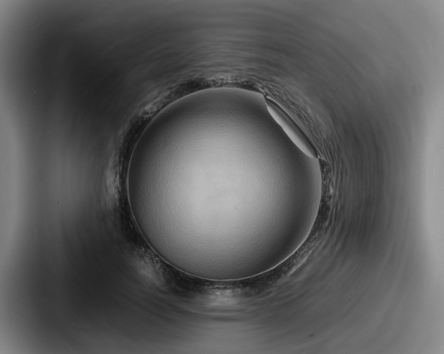 X0000087710746200705111421