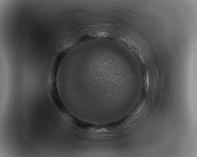 X0000087710747200705111421