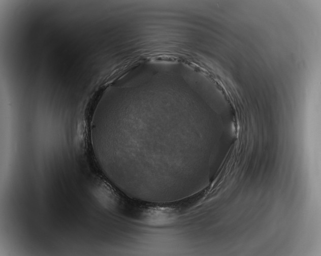 X0000087710748200705111421