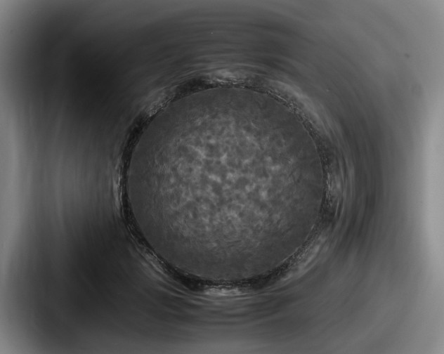 X0000087710749200705111421