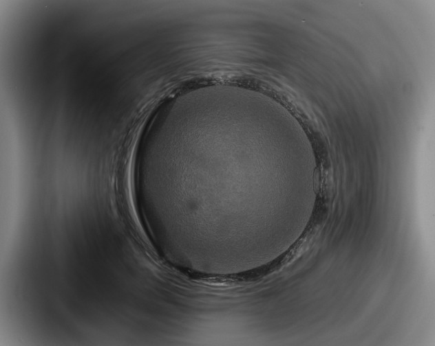 X0000087710750200705111421