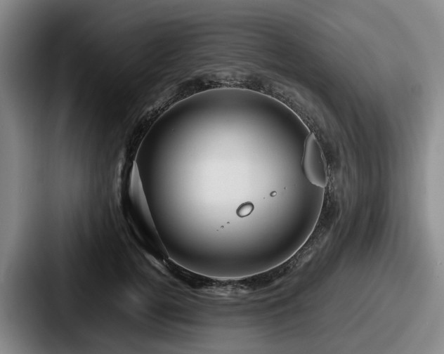 X0000087710752200705111421