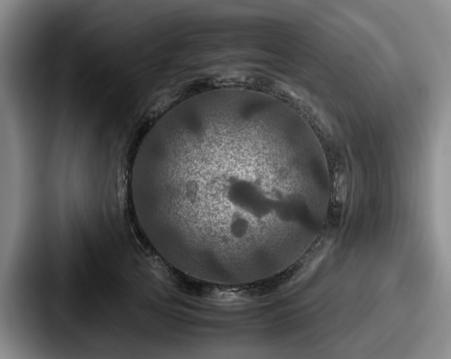 X0000087710753200705111421