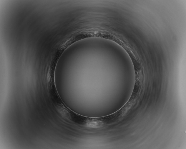 X0000087710754200705111421