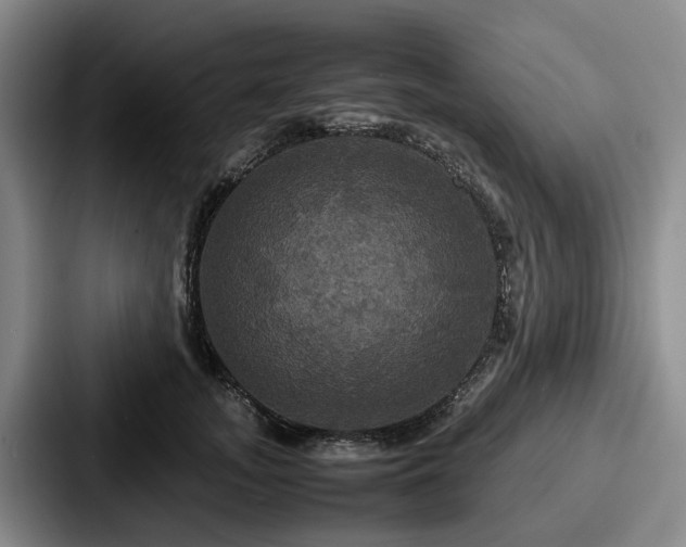 X0000087710755200705111421
