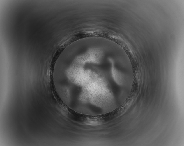X0000087710757200705111421