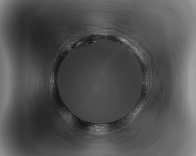 X0000087710758200705111421