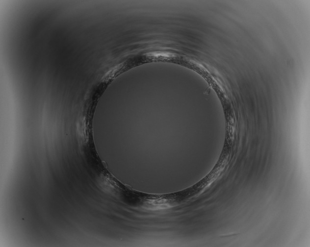 X0000087710759200705111421